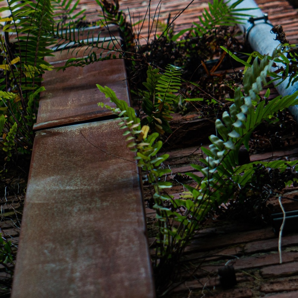 Meet your Posher, Adriana